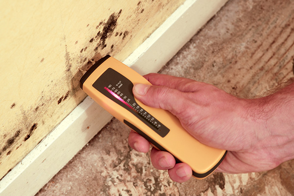 test taux humidité pendant la rénovation d'une maison