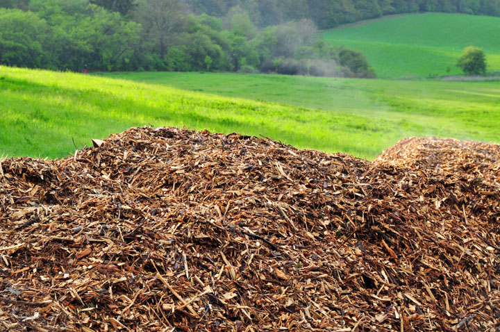 avantages de l énergie biomasse
